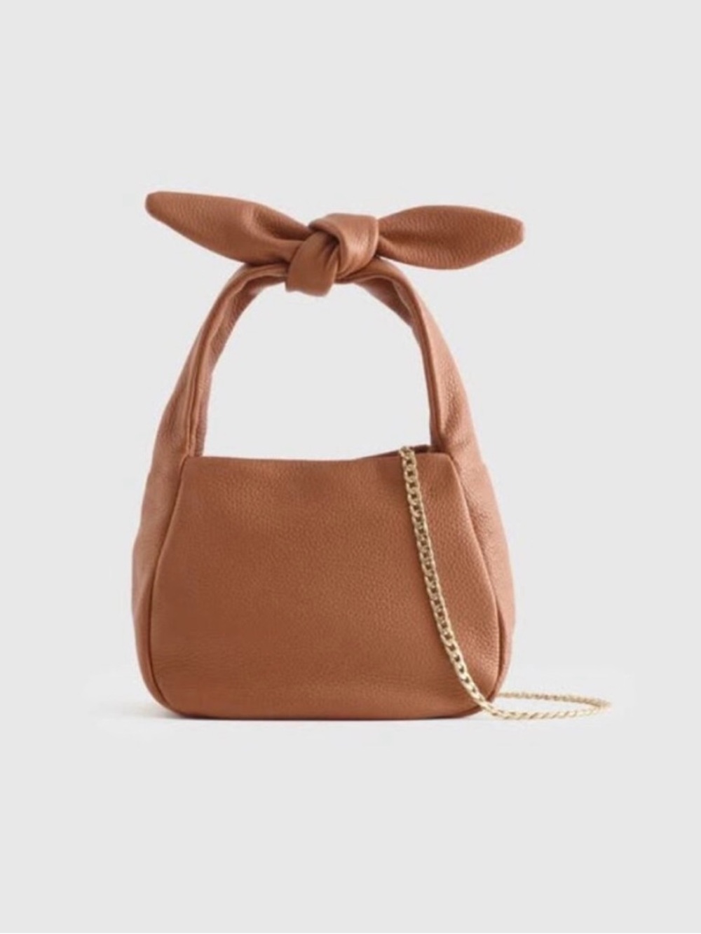 Quince Pebbled Leather Mini Bow Crossbody Bag NWOT
